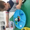 Fine Motor Skills